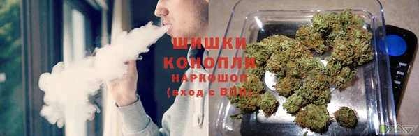 мет Аркадак
