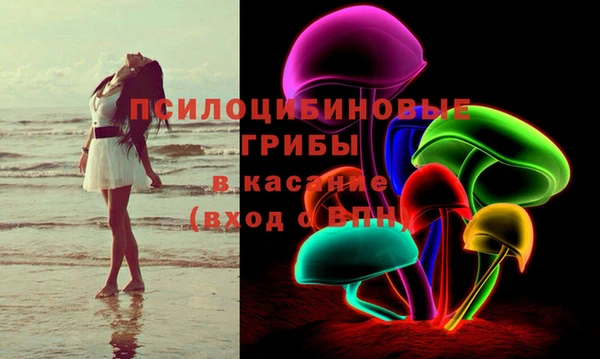 прущая мука Арсеньев